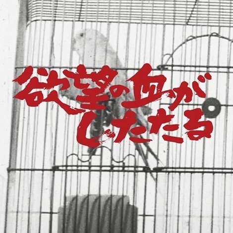 欲望の血がしたたる