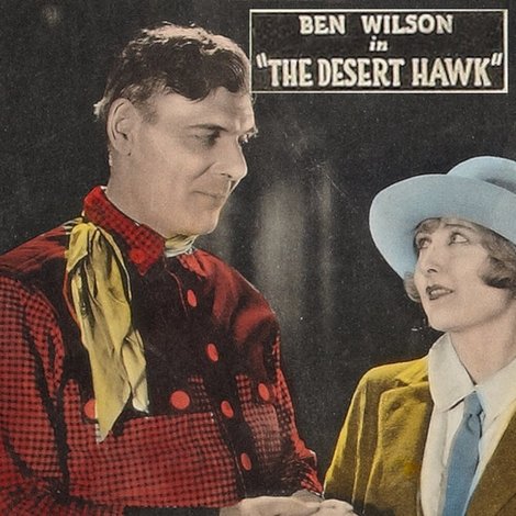 The Desert Hawk