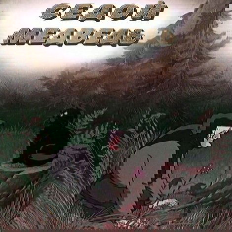 Седой медведь