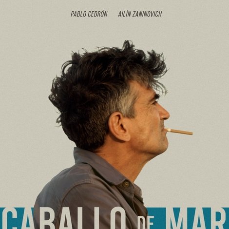 Caballo de mar
