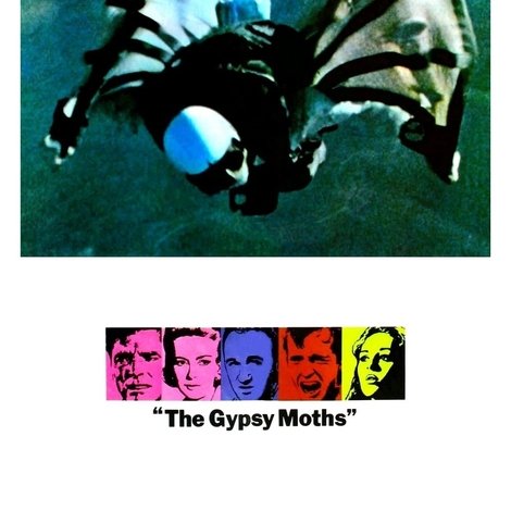 The Gypsy Moths