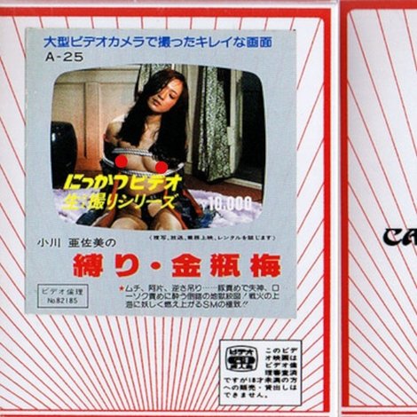小川亜佐美の 縛り・金瓶梅