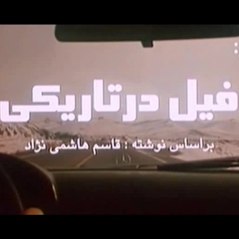 فیل در تاریکی