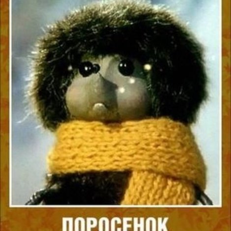 Поросенок в колючей шубке
