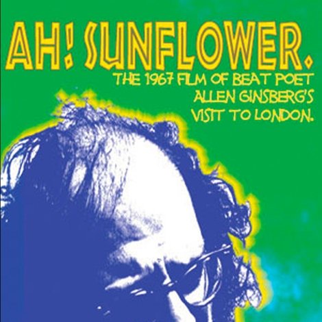 Ah, Sunflower
