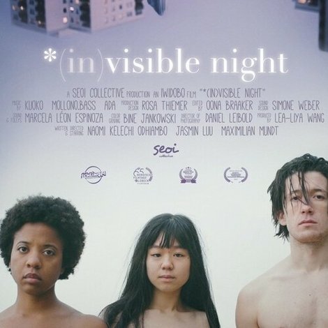 *(In)Visible Night