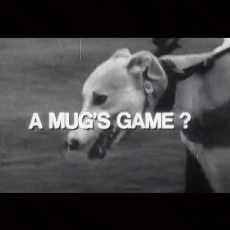 A Mug's Game?