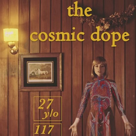 The Cosmic Dope - A Plant Experience