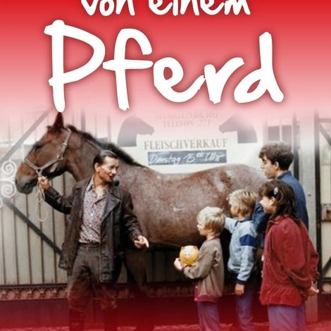 Jeder träumt von einem Pferd