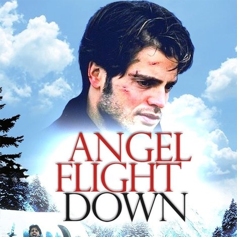 Angel Flight Down