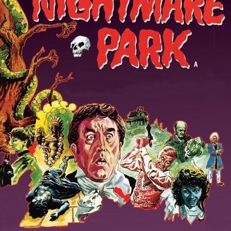 The House in Nightmare Park