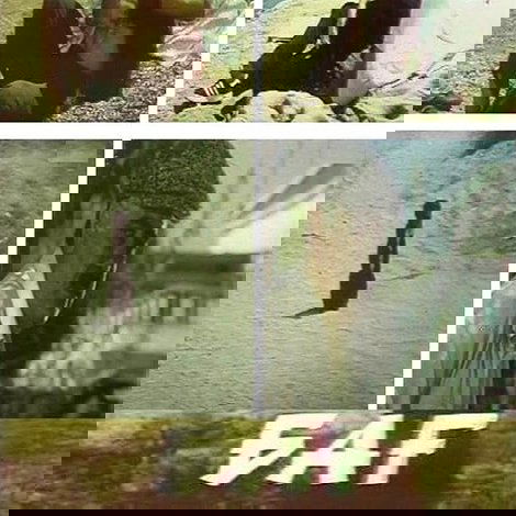 Bağ Mövsümü
