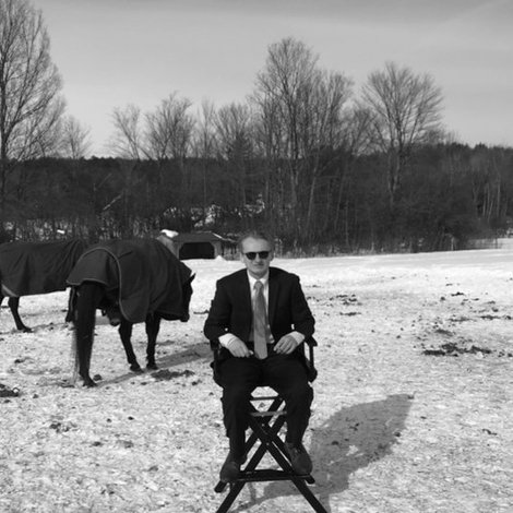 Conservative Horses
