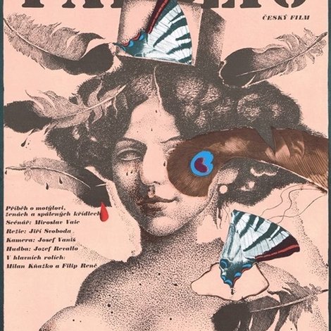 Papilio