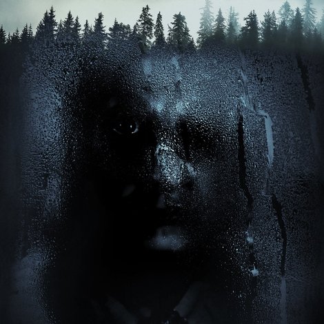 The Witch in the Window