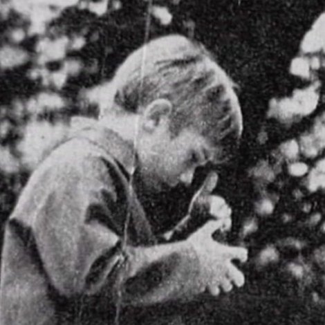 Mon père était un ballon rouge: conte de la vie d'Albert Lamorisse