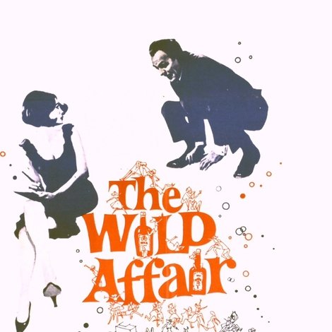 The Wild Affair