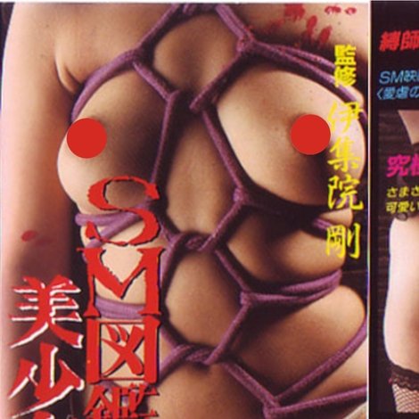 SM図鑑 美少女縛り