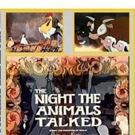 The Night the Animals Talked