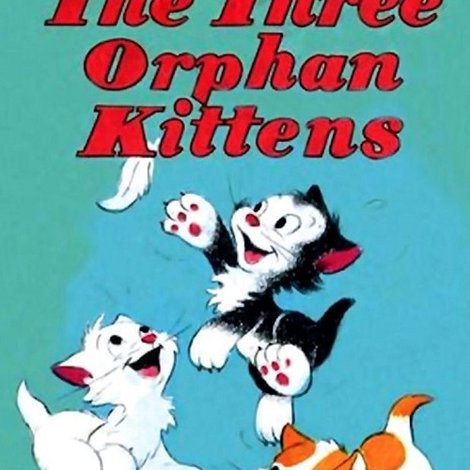 Three Orphan Kittens
