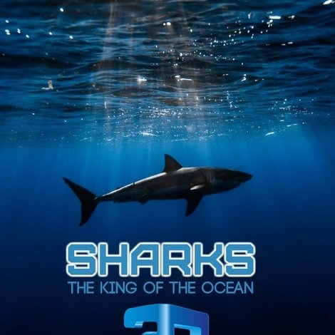 Haie - Killer aus dem Meer