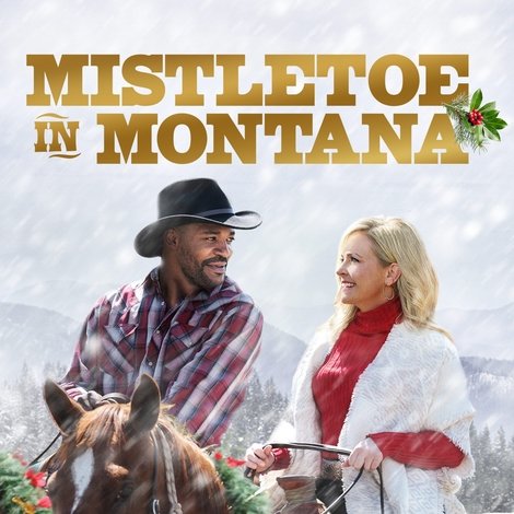 Mistletoe in Montana