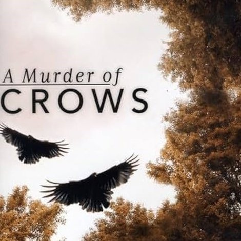 A Murder of Crows