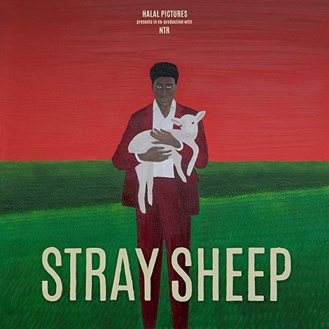 Stray Sheep