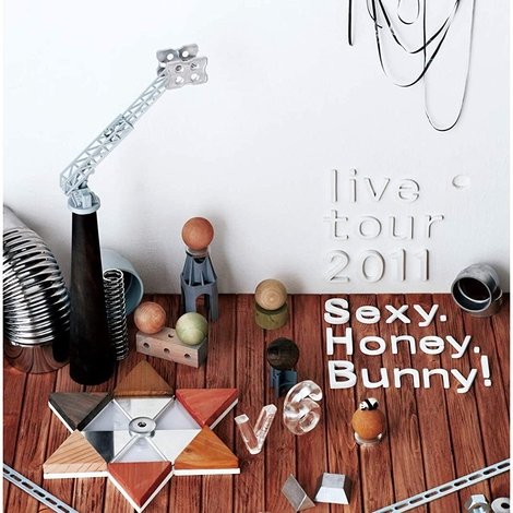 V6 live tour 2011 Sexy.Honey.Bunny!