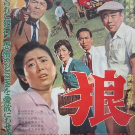 狼