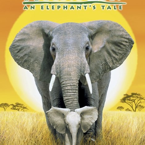 Whispers: An Elephant's Tale