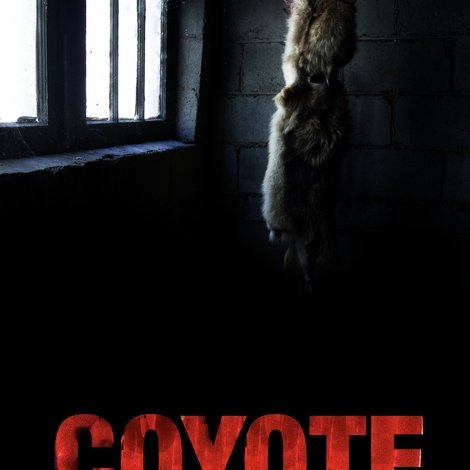 Coyote