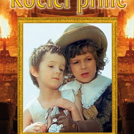 Kočičí princ