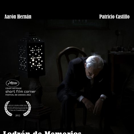 Ladrón de memorias