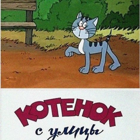 Котенок с улицы Лизюкова