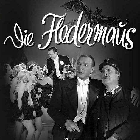 Die Fledermaus