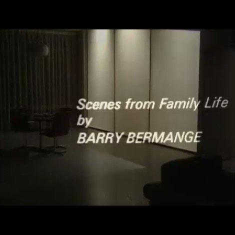 Scenes from Family Life