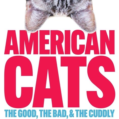 American Cats: The Good, the Bad, and the Cuddly