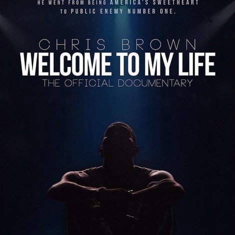 Chris Brown: Welcome to My Life