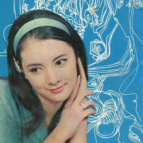 菟絲花