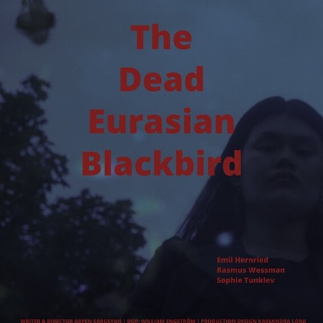 The Dead Eurasian Blackbird