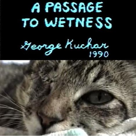 A Passage to Wetness