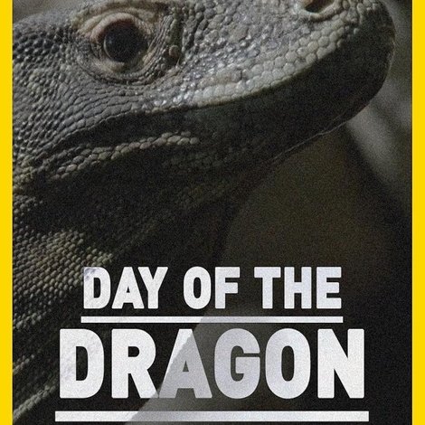Day of the Dragon