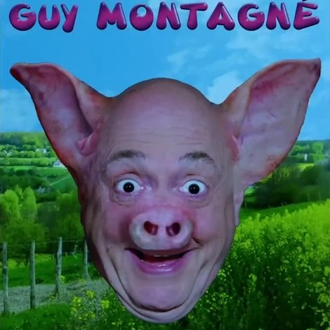 Histoires Cochonnes