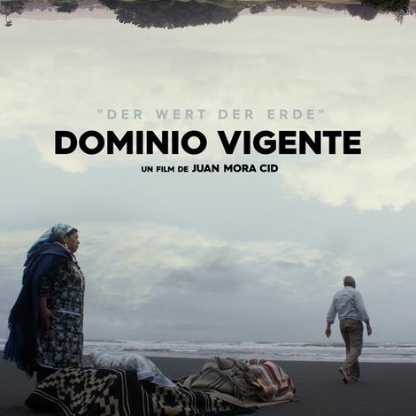 Dominio Vigente