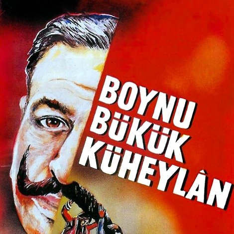Boynu Bükük Küheylan