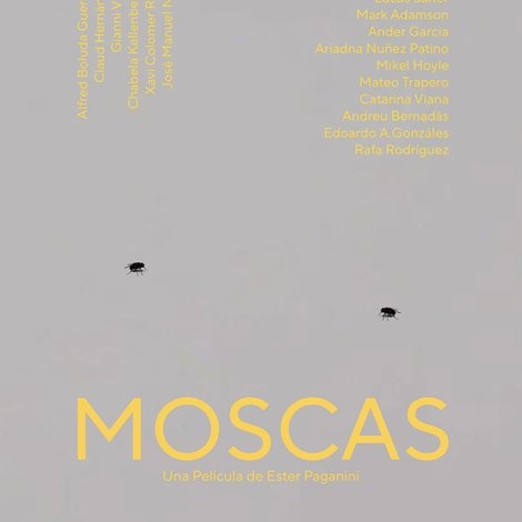 Moscas