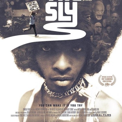 On the Sly: In Search of the Family Stone