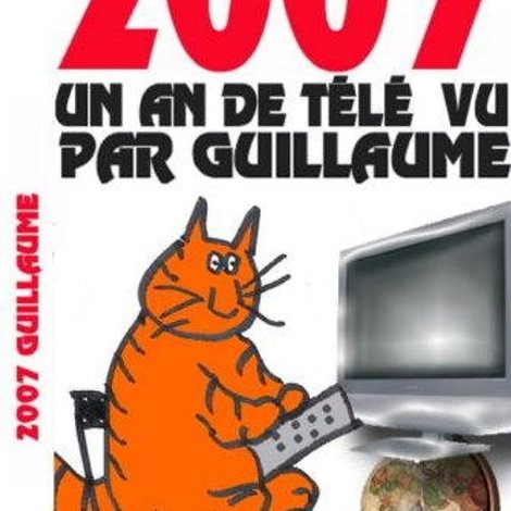 Un an de télé vu par Guillaume