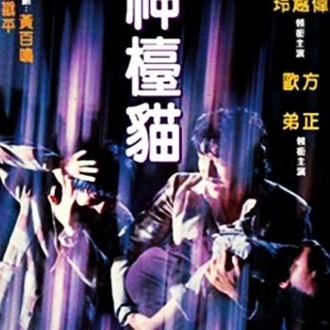 神檯貓